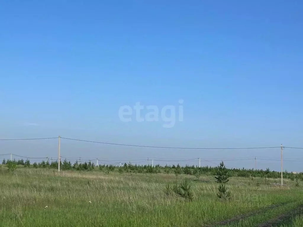 Участок в Ульяновская область, Ульяновск городской округ, с. Луговое ... - Фото 0