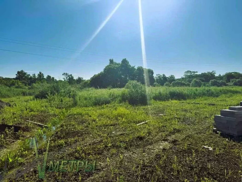 Участок в Приморский край, Надеждинский район, Наследник ДНТ ул. ... - Фото 2