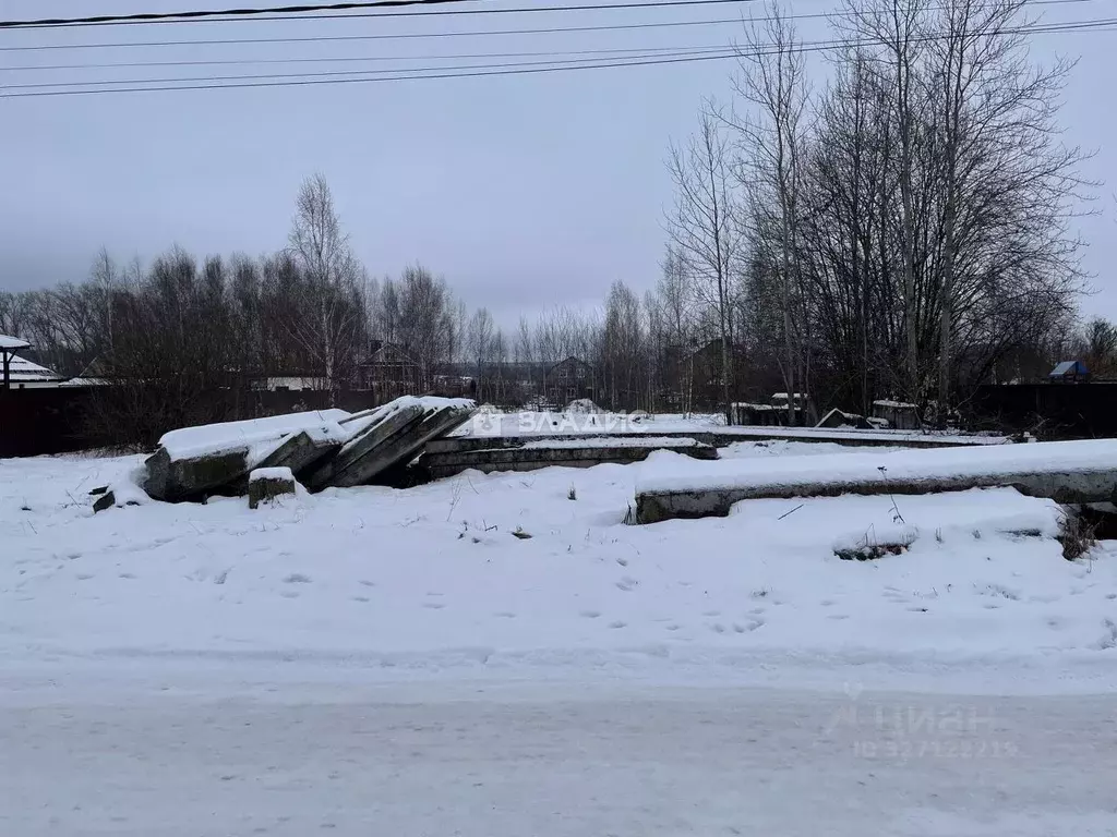 Участок в Нижегородская область, Богородский муниципальный округ, с. ... - Фото 2