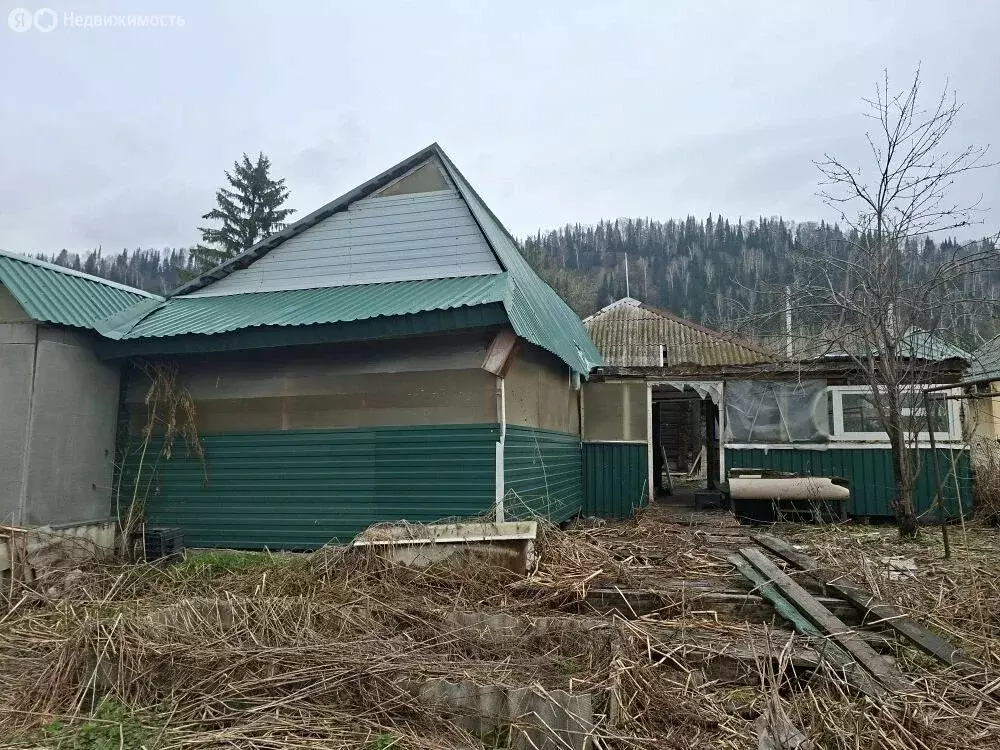 Дом в Междуреченск, улица Маяковского, 51А (40 м) - Фото 2