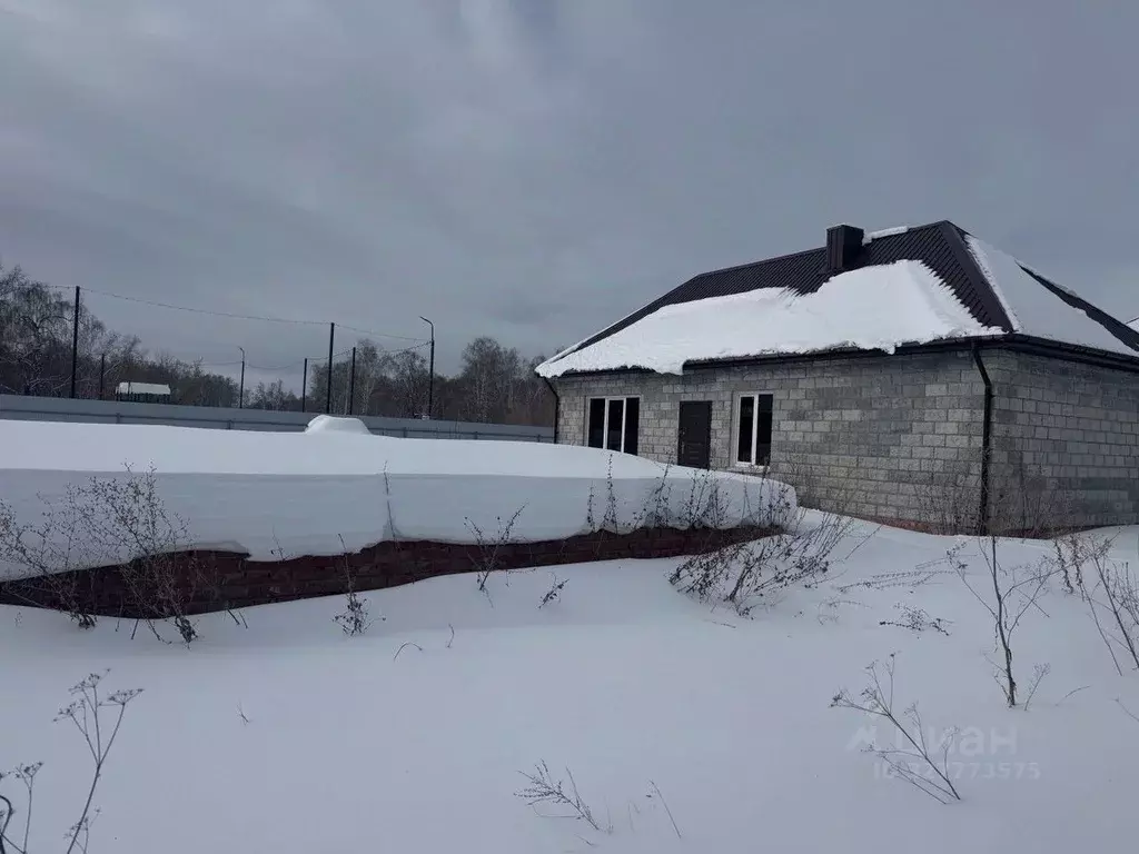 Коттедж в Челябинская область, с. Еткуль ул. Солнечная, 28 (174 м) - Фото 1