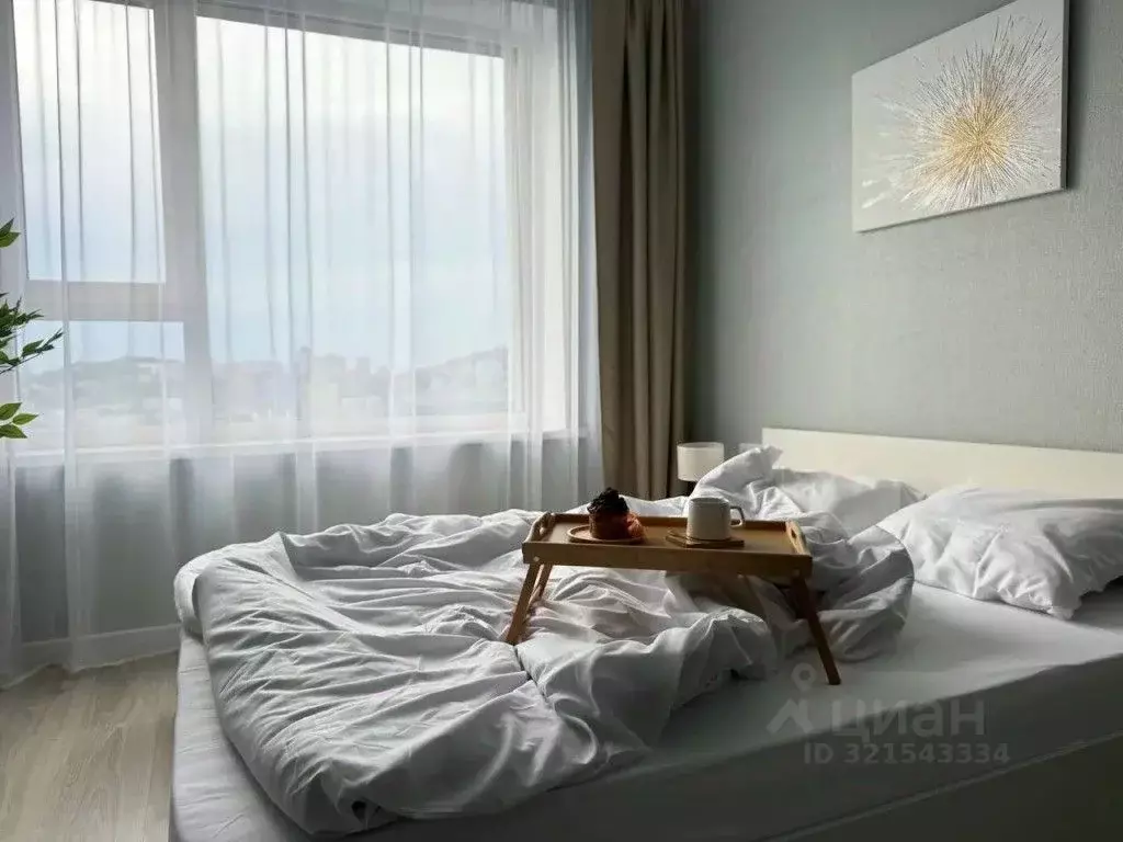 1-к кв. Приморский край, Владивосток Стрелковая ул., 18к1 (25.0 м) - Фото 2