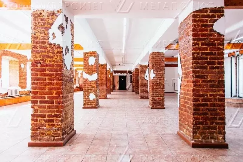 Офис (379 м) - Фото 2