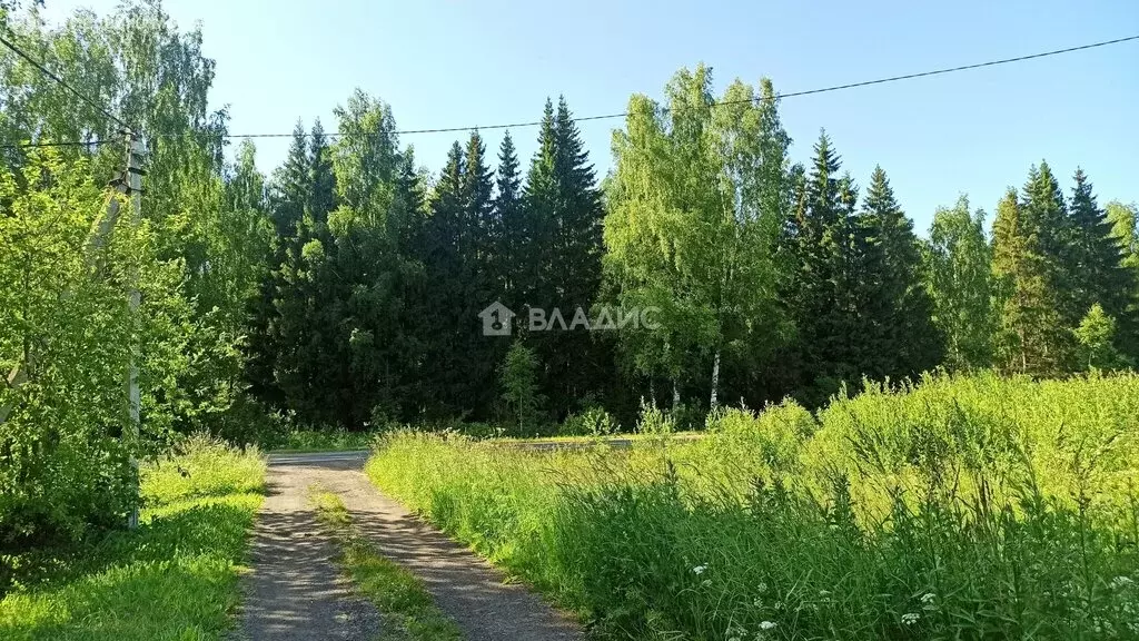 Участок в Ярославская область, Рыбинский муниципальный округ (10.7 м) - Фото 2