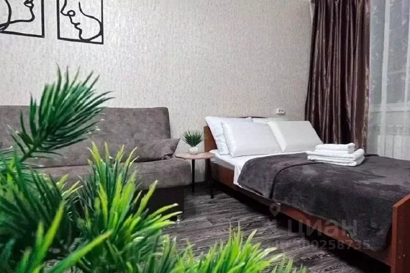 1-к кв. Кемеровская область, Полысаево Волжская ул., 3 (34.0 м) - Фото 2