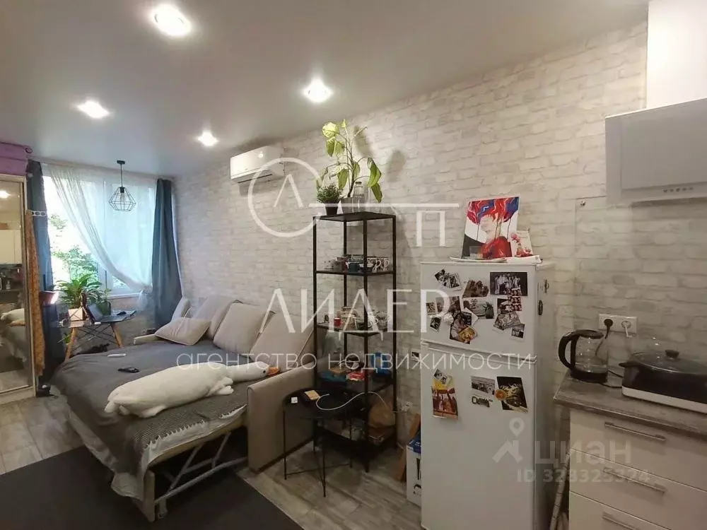 1-к кв. Краснодарский край, Сочи Донская мкр, пер. Чехова, 6В (25.0 м) - Фото 2