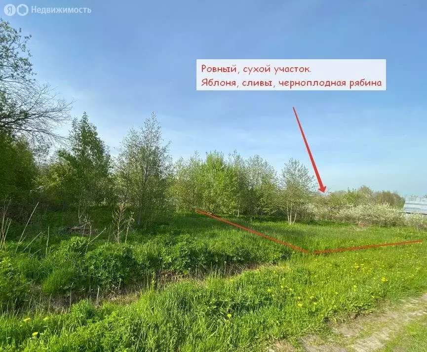 Участок в Санкт-Петербург, Стрельнинское шоссе (4 м) - Фото 1