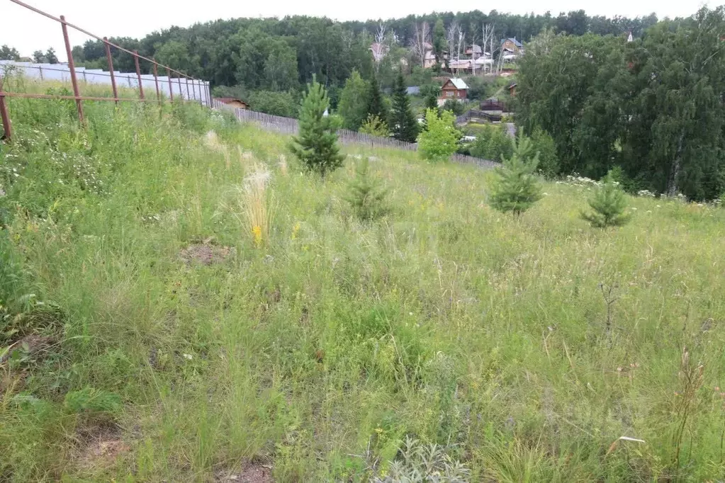 Участок в Красноярский край, Красноярск пос. Овинный,  (15.0 сот.) - Фото 2