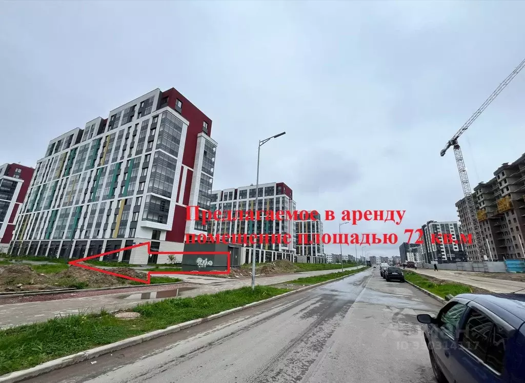 Помещение свободного назначения в Ленинградская область, Новоселье г. ... - Фото 2