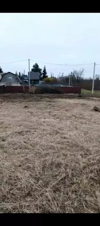 Участок в Орловская область, Орловский муниципальный округ, Нива СНТ ... - Фото 2