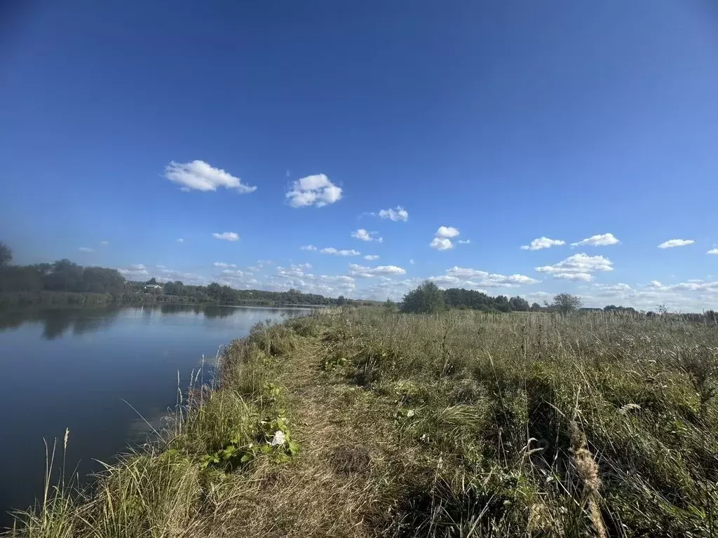 Участок в Пензенская область, с. Бессоновка ул. Центральная (15.0 ... - Фото 2