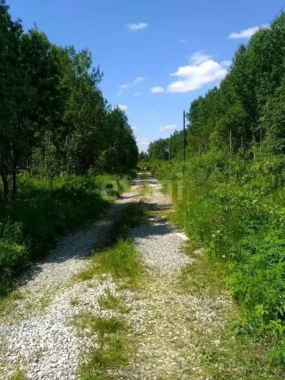 Участок в Свердловская область, Екатеринбург Университетский № 4 СТ,  ... - Фото 0