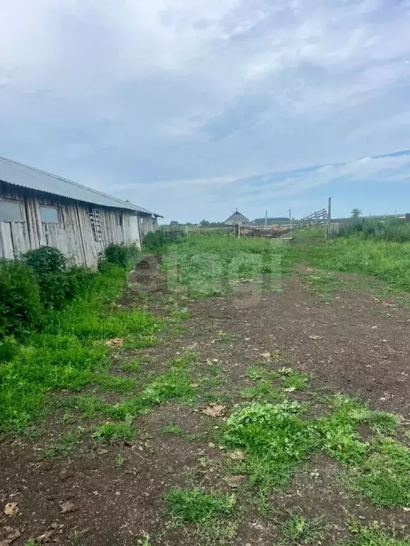 Участок в Новосибирская область, Коченевский район, д. Тропино ... - Фото 0