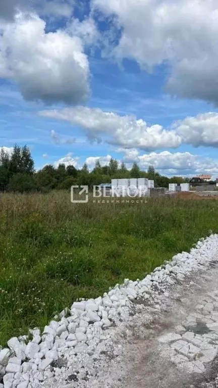 Участок в Костромская область, Красносельский район, Боровиковское ... - Фото 2