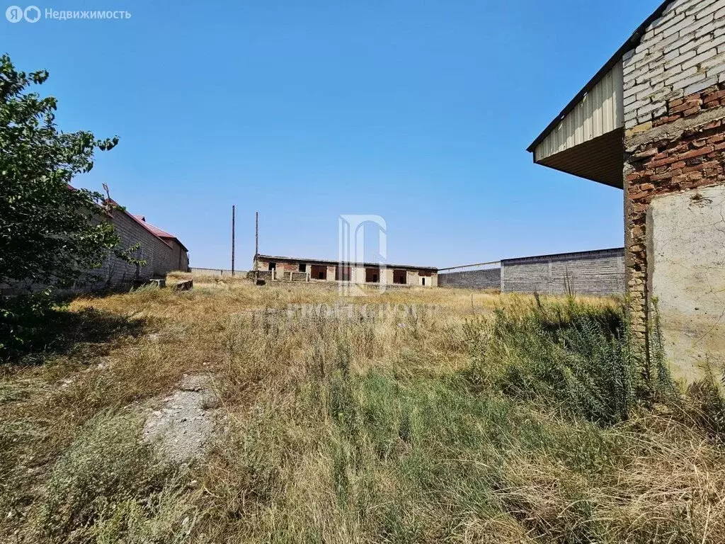 Участок в Буйнакск, улица Имама Гази-Магомеда, 1 (42 м) - Фото 1