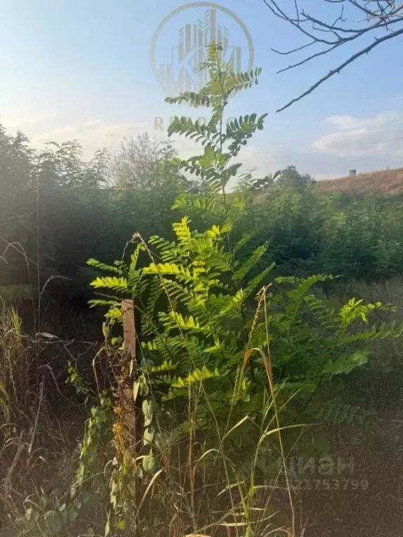 Участок в Ставропольский край, Минеральные Воды Кисловодская ул. (5.0 ... - Фото 2