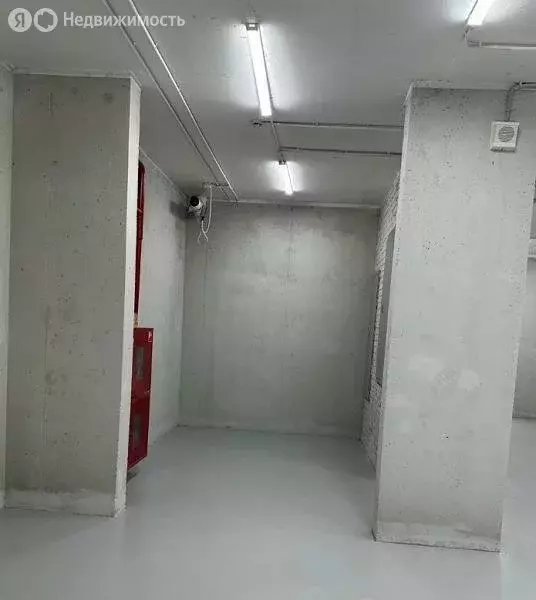 Помещение свободного назначения (347 м) - Фото 2