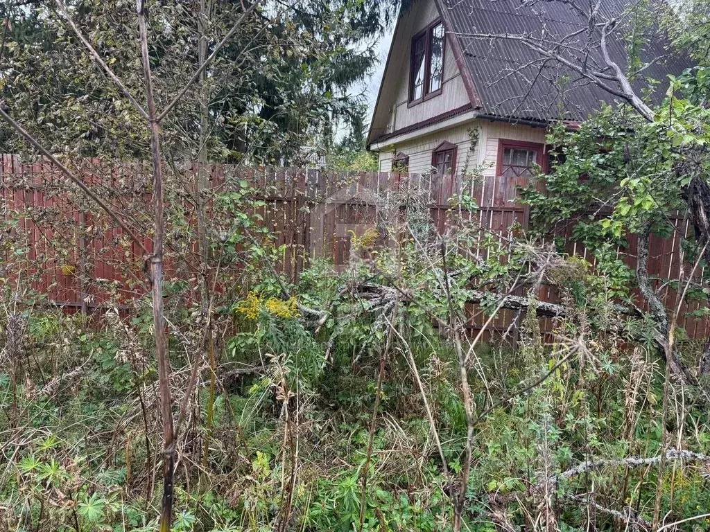 Участок в Ленинградская область, Кировский район, Мгинское городское ... - Фото 2