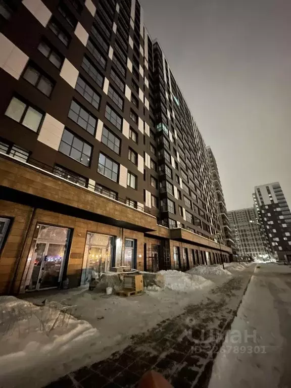 Студия Санкт-Петербург ул. Архивная, 6 (26.39 м) - Фото 1