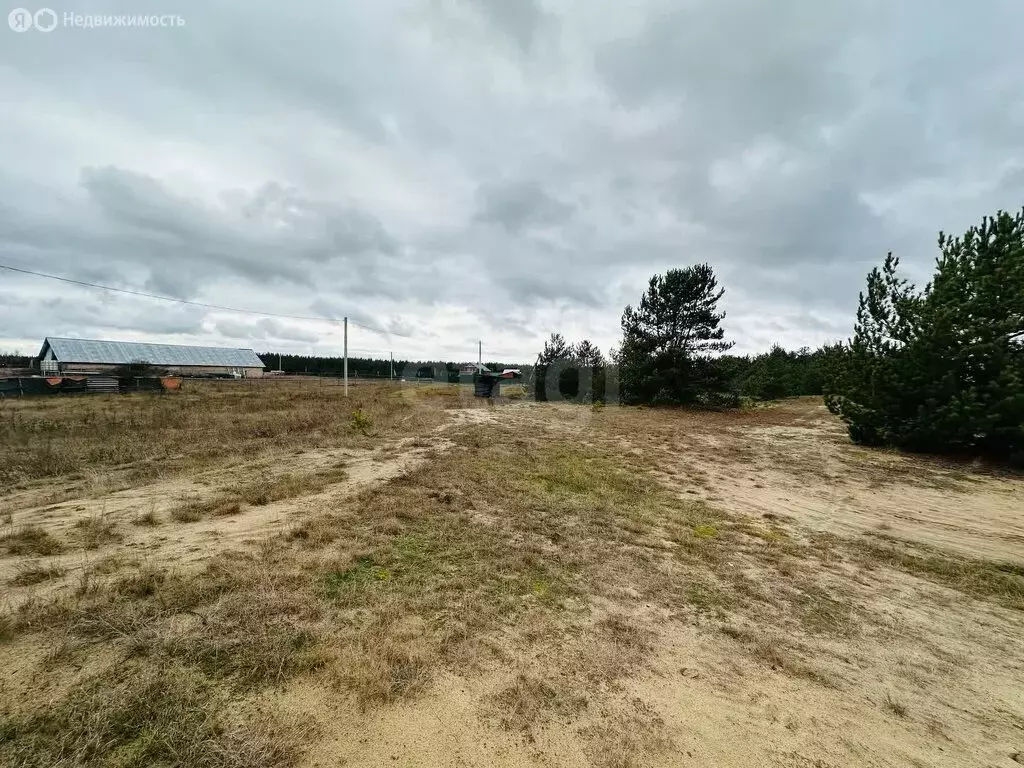 Участок в Владимирская область, Петушинский муниципальный округ, ... - Фото 1