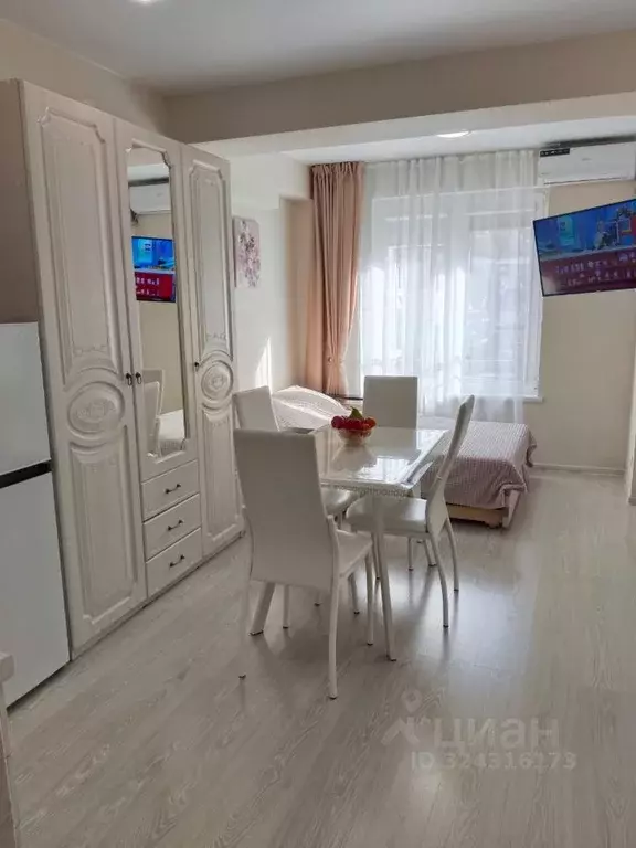 Студия Краснодарский край, Сочи городской округ, Дагомыс пгт ул. ... - Фото 1