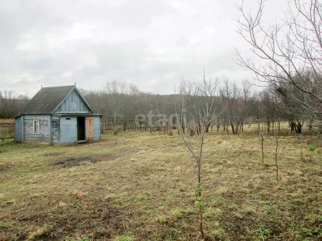 Участок в Ярославская область, Борисоглебский муниципальный округ, д. ... - Фото 1