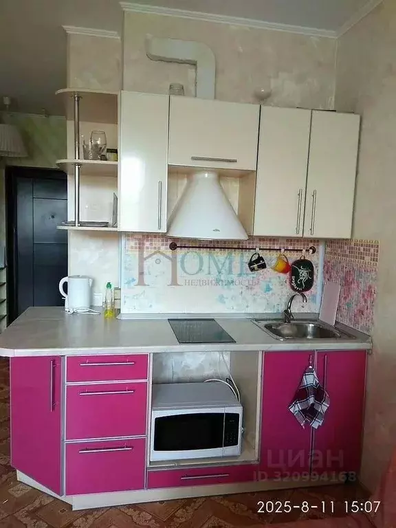 1-к кв. Новосибирская область, Новосибирск ул. Романова, 60 (25.0 м) - Фото 1