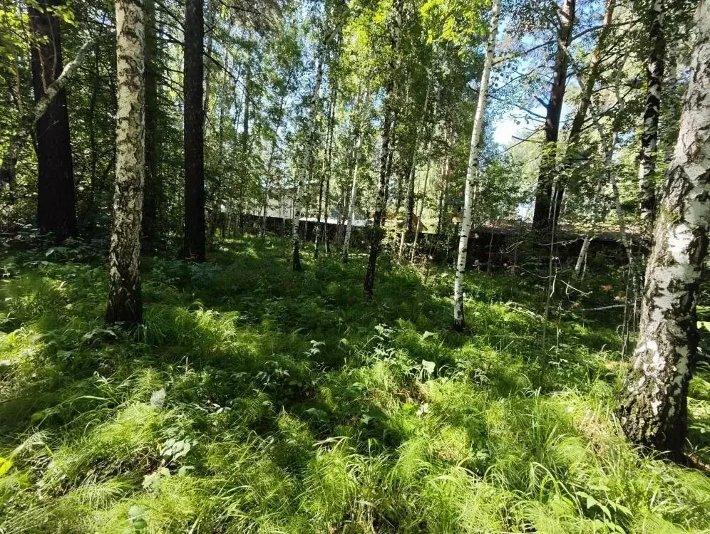 Участок в Иркутская область, Иркутский муниципальный округ, Жаворонки ... - Фото 1
