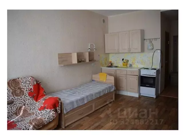 Студия Новосибирская область, Мошковский район, пос. Октябрьский ... - Фото 1