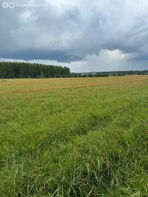 Участок в Ивановский район, Балахонковское сельское поселение, деревня ... - Фото 0
