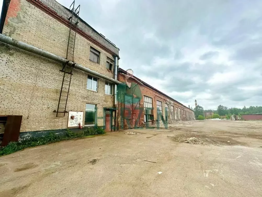 Склад в Московская область, Ступино городской округ, Михнево пгт ул. ... - Фото 1