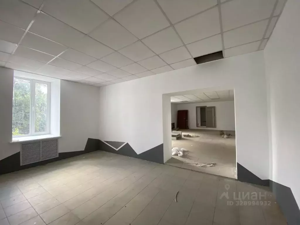 Помещение свободного назначения в Орловская область, Орел пл. Карла ... - Фото 1