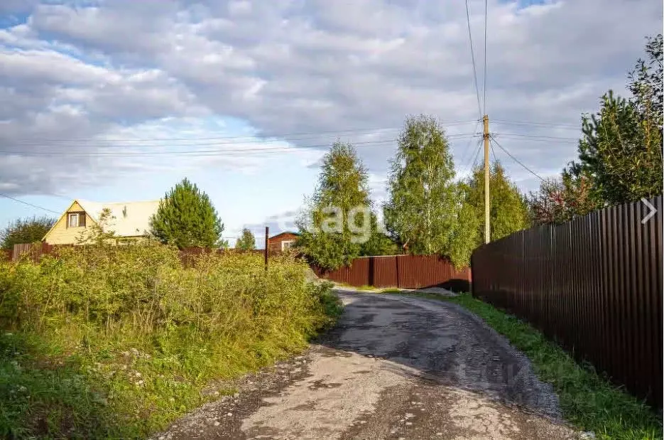 Участок в Новосибирская область, Новосибирск Садоводческого ... - Фото 1