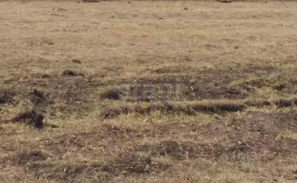 Участок в Бурятия, Заиграевский район, Дабатуйское с/пос, с. Эрхирик  ... - Фото 1