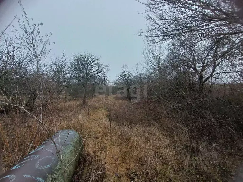 Участок в Белгородская область, Губкин Горняк-Мичуринец СТ,  (8.0 ... - Фото 2