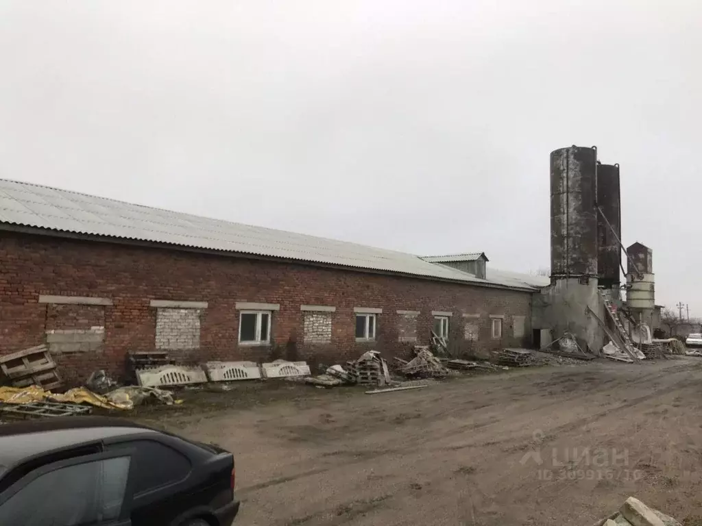 Помещение свободного назначения в Смоленская область, Смоленский ... - Фото 1