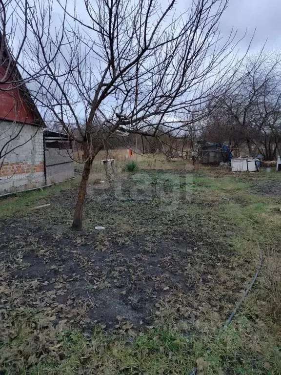 Дом в Белгородская область, Белгород ул. Котовского, 20 (42 м) - Фото 1