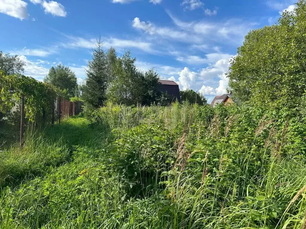 Участок в Московская область, Серпухов городской округ, Фенино СНТ  ... - Фото 0