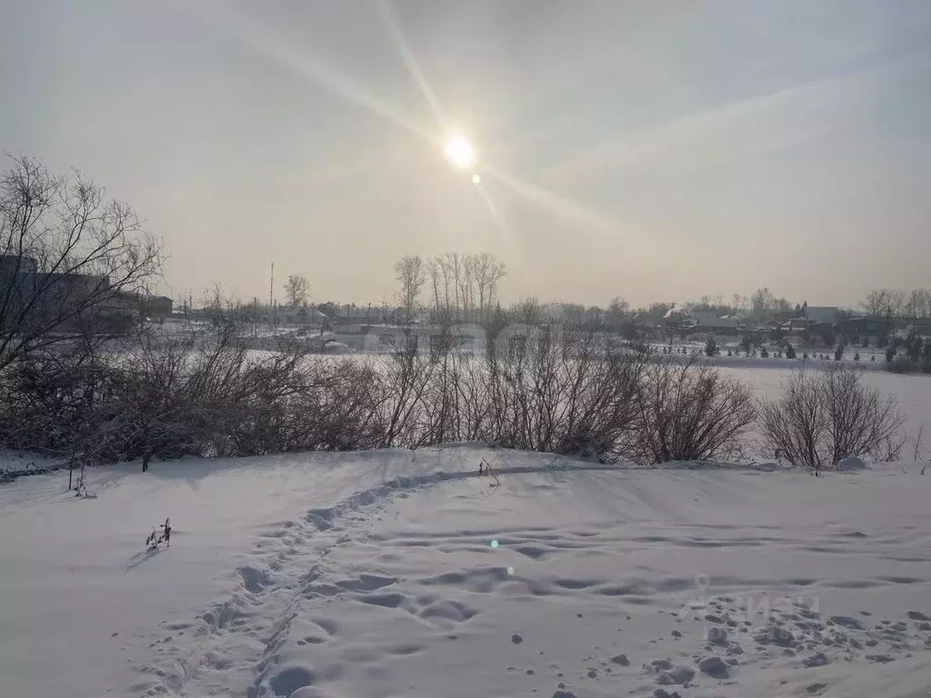 Участок в Красноярский край, Красноярск городской округ, пос. Элита ... - Фото 1