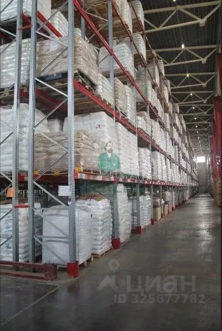 Производственное помещение в Московская область, Чехов муниципальный ... - Фото 2