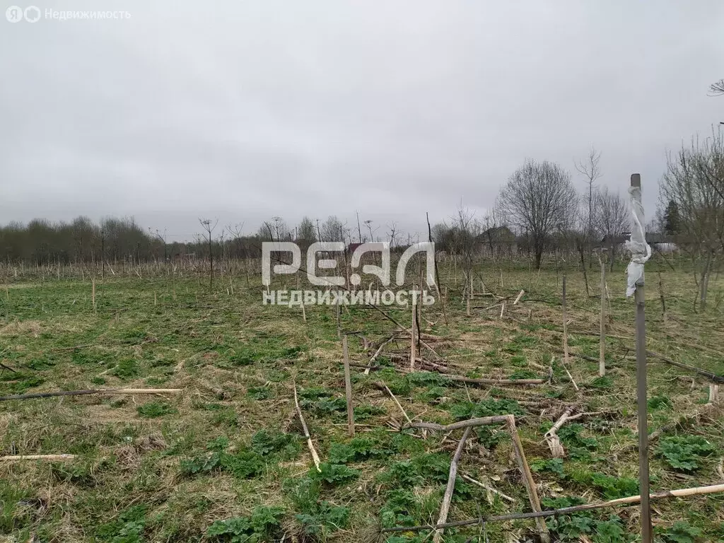 Участок в Волосовский район, Большеврудское сельское поселение, ... - Фото 0