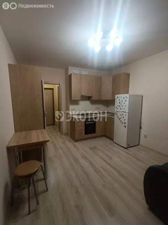 Квартира-студия: посёлок Шушары, Старорусский проспект, 13к1 (20.8 м) - Фото 1