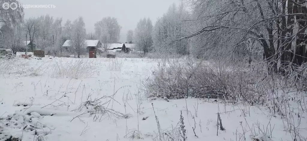 Участок в Шекснинский район, сельское поселение Угольское, деревня ... - Фото 1