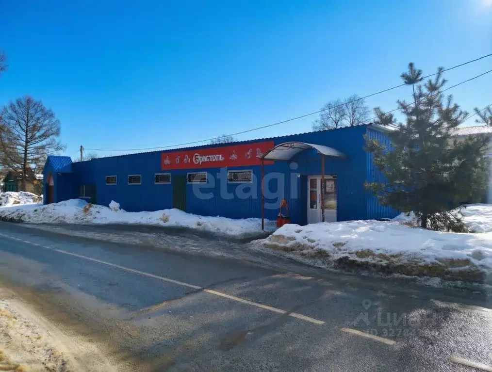 Торговая площадь в Московская область, Воскресенск городской округ, с. ... - Фото 1