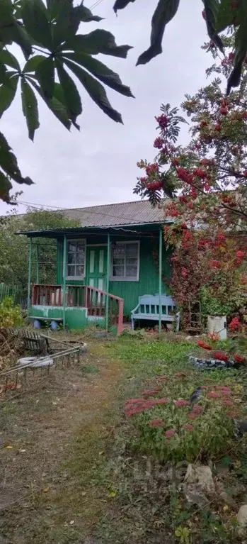 Дом в Саратовская область, Новобурасское муниципальное образование, с. ... - Фото 1