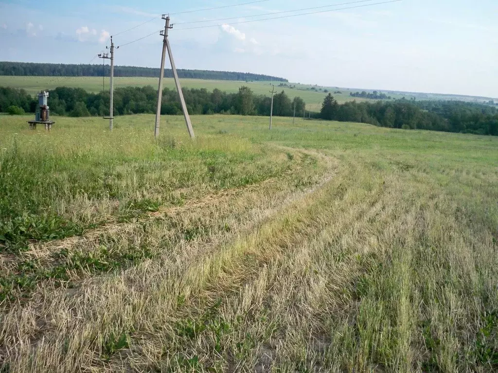 Участок в Удмуртия, Увинский район, д. Бинвирь  (10.0 сот.) - Фото 1