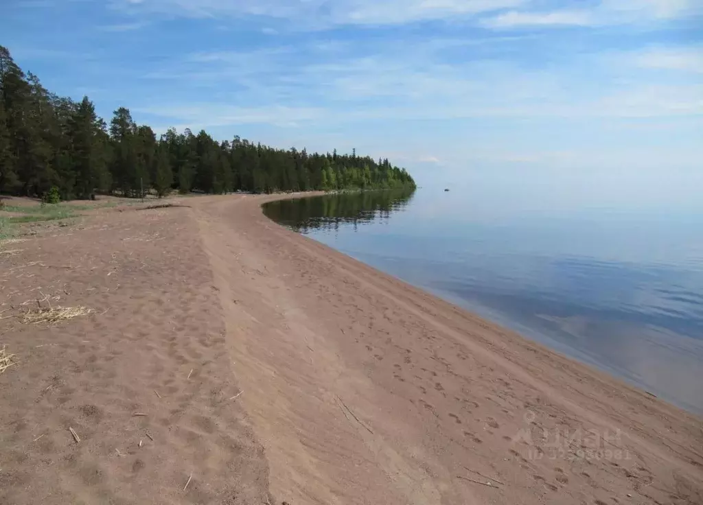 Участок в Карелия, Олонецкий район, с. Видлица  (15.0 сот.) - Фото 1