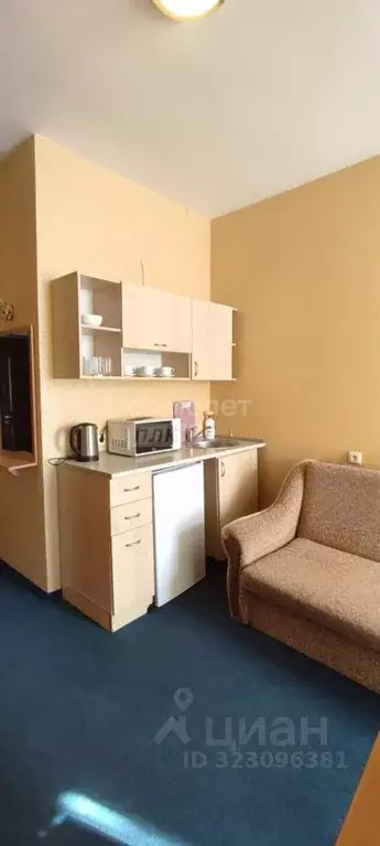 Студия Крым, Ялта муниципальный округ, Симеиз пгт ул. Владимира ... - Фото 1