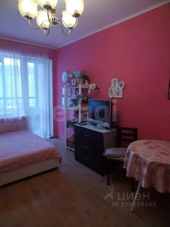 Студия Санкт-Петербург просп. Ветеранов, 169к3 (24.0 м) - Фото 0