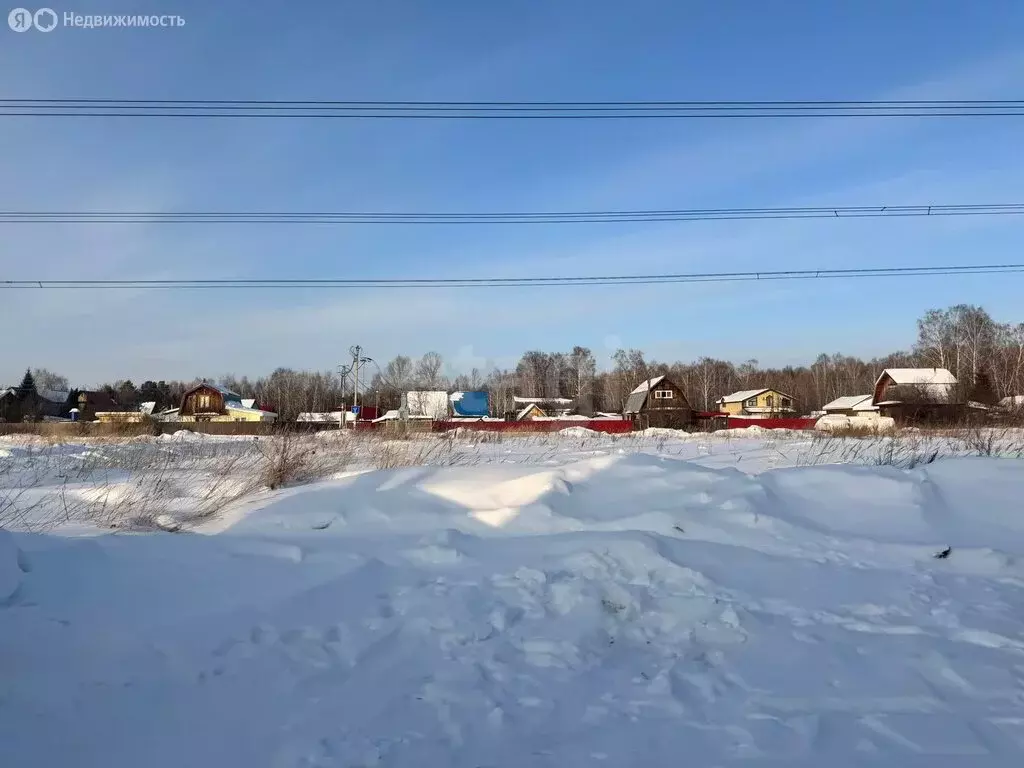 Дом в Тюмень, садоводческое некоммерческое товарищество Дубрава, 10-я ... - Фото 2